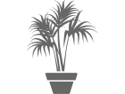 Planta verde