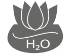 Plantas Acuáticas